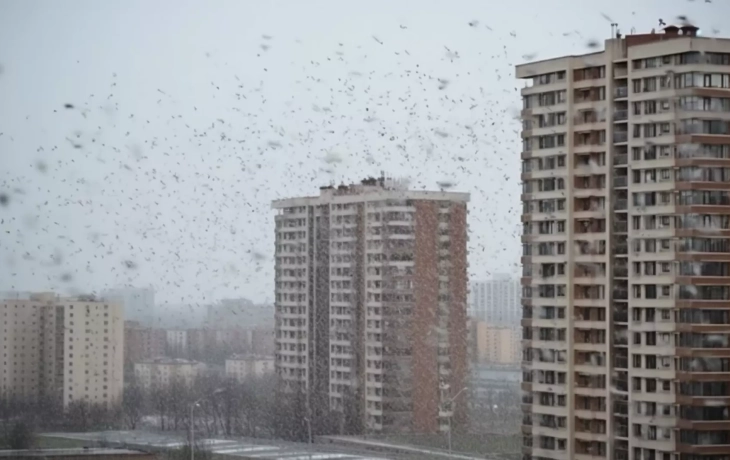 Тюмень 16 января засыплет снегом