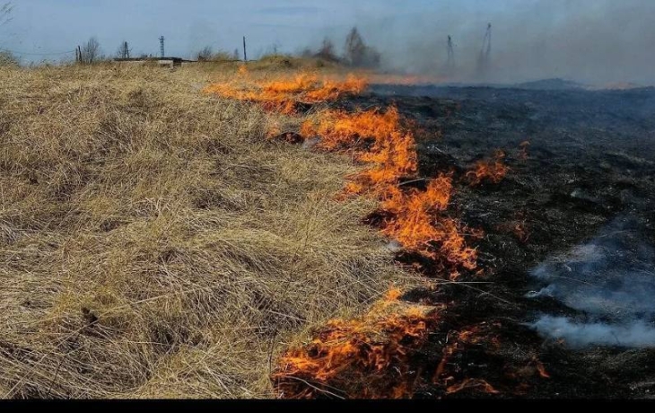 В Тюменской области ликвидировали 2 ландшафтных пожара В Тюменской области ликвидировали 2 ландшафтных пожара
