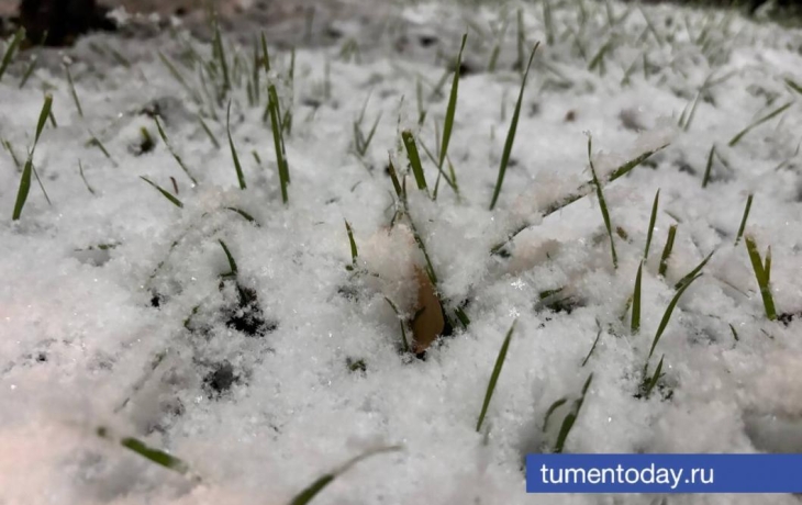 Почему прогноз погоды бывает неточным &ndash; тюменцам объяснил эксперт