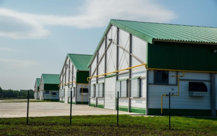 В Тюмени отбирают подрядчиков для строительства племенного репродуктора индейки
