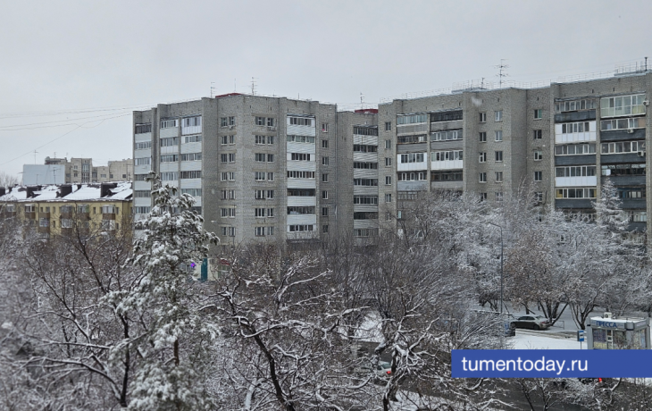 Синоптик Винштейн предупредил о штормовом ветре в Тюменской области