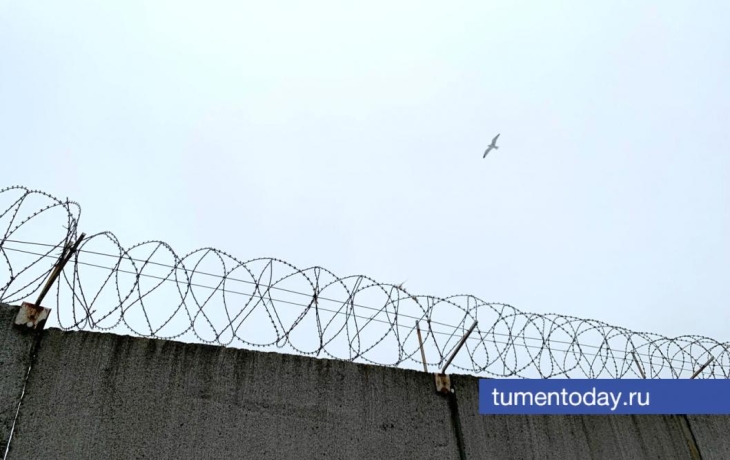 В Тобольске женщина добилась 800 тыс. рублей компенсации за убитую сестру