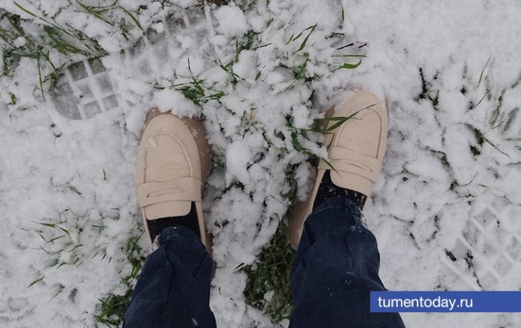 Снег из дворов Тюмени будет бесплатно принимать полигон на Велижанском тракте