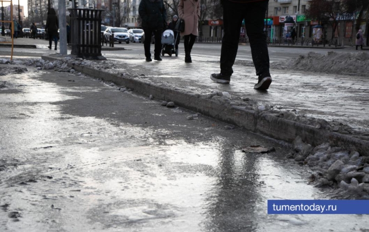 В Тюменской области прогнозируют мокрый снег и туман