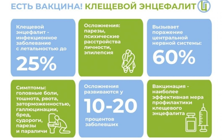 Клещи в Тюменской области покусали более 9 600 жителей Клещи в Тюменской области покусали более 9 600 жителей