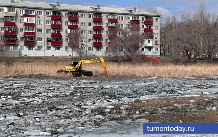 В Тюмени на пруду Утином начались работы по очистке водоема В Тюмени на пруду Утином начались работы по очистке водоема