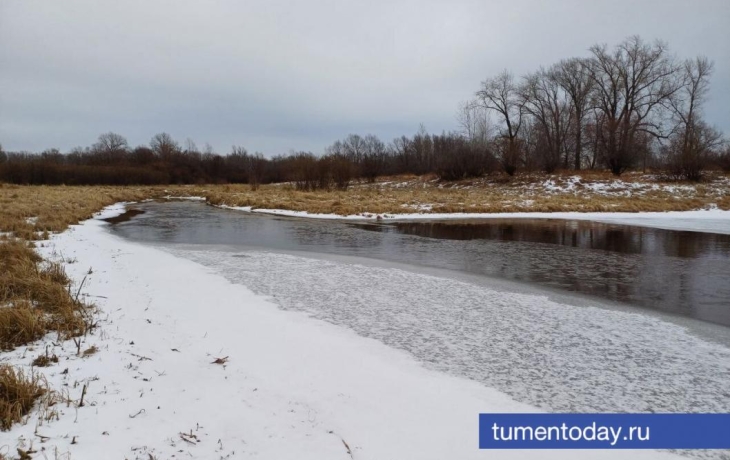 15 ноября в Тюмени пасмурно и +4 &deg;C