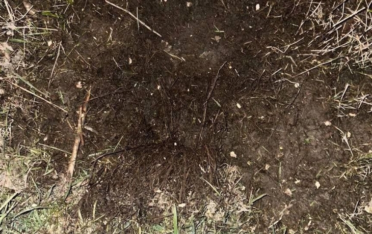 Стало известно, что взорвалось в Тюмени в ночь с 7 на 8 мая Стало известно, что взорвалось в Тюмени в ночь с 7 на 8 мая